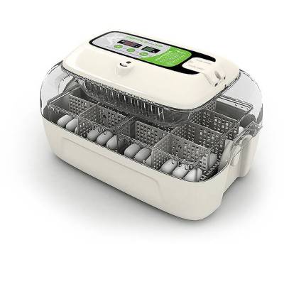 Rcom MAX 60 Incubadora para reptiles