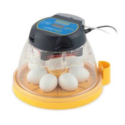 Mini II EX incubadora Brinsea